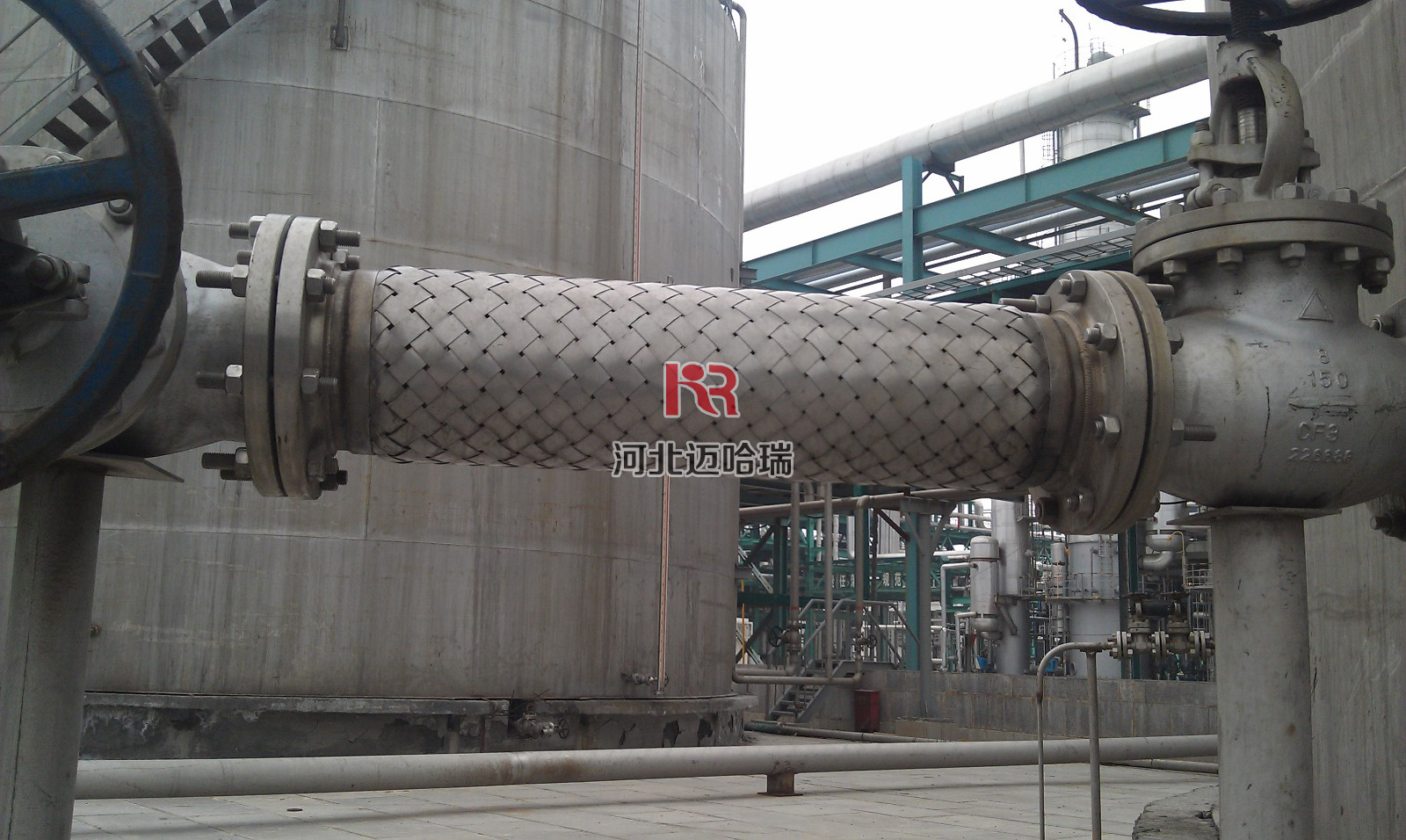 ��(ch��)�޿������ܛ��